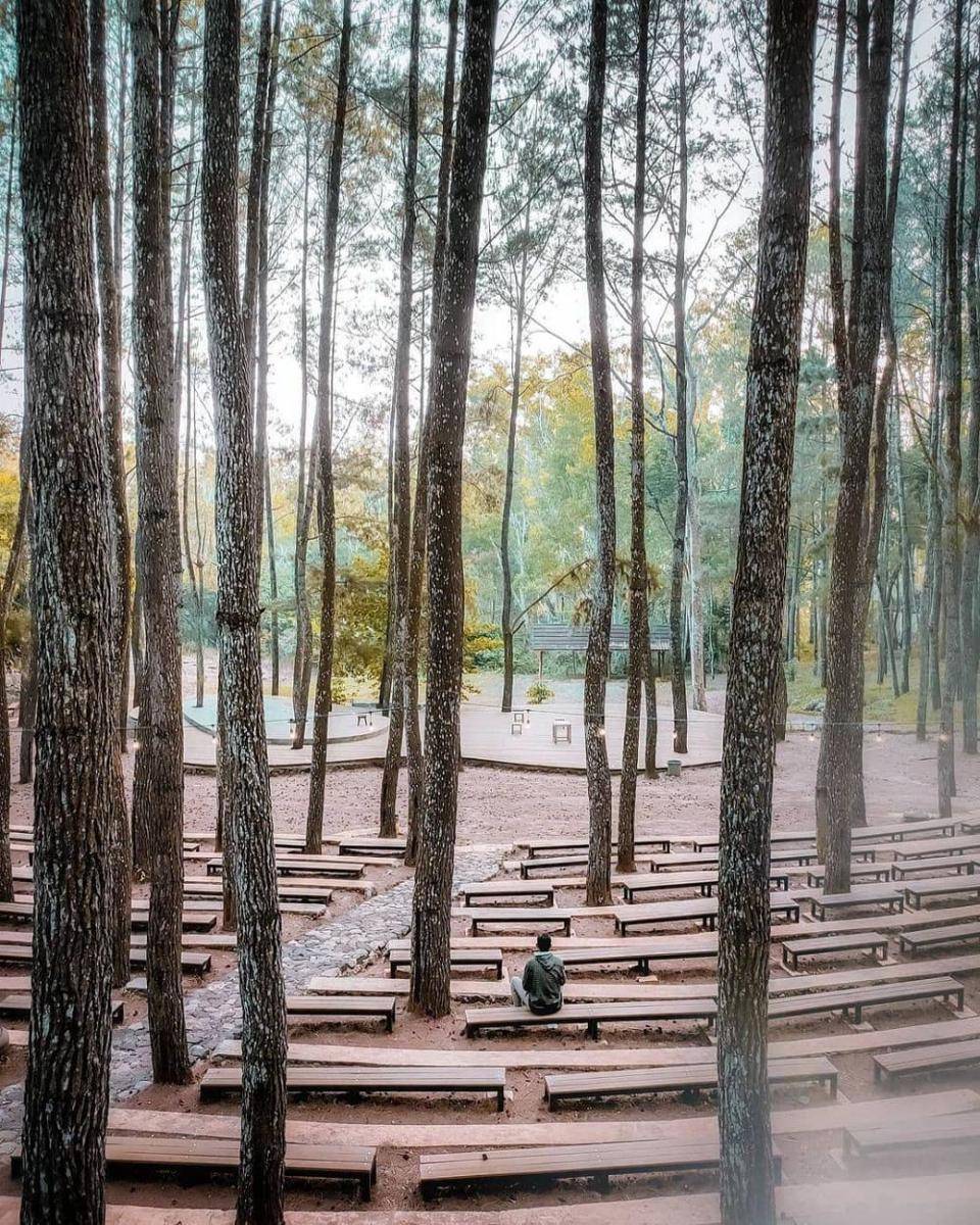 Hutan Pinus Mangunan, Yogyakarta (instagram.com/adhe_aditya)