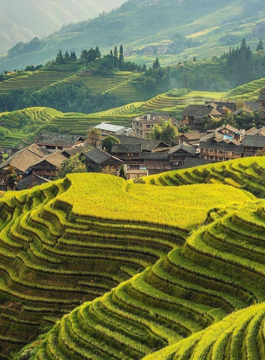 Longsheng rice terraces (instagram.com/shaolinworldwide)