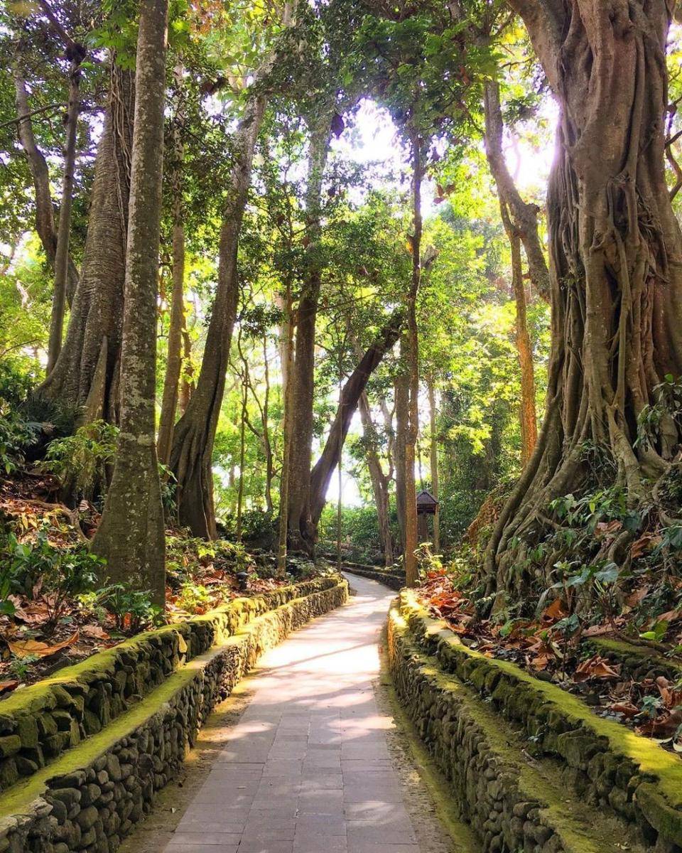 Sacred Monkey Forest (instagram.com/rachelroamsearth)