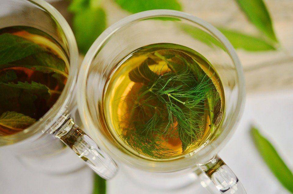 Ilustrasi teh herbal (pixabay.com/congerdesign)