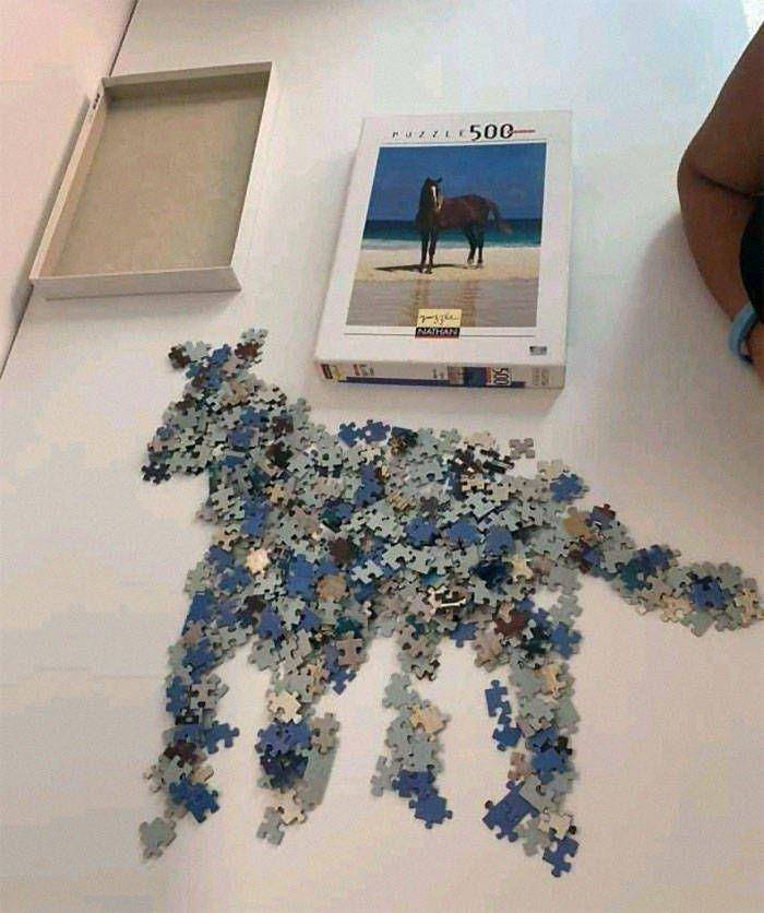 foto susun puzzle yang salah (izismile.com)