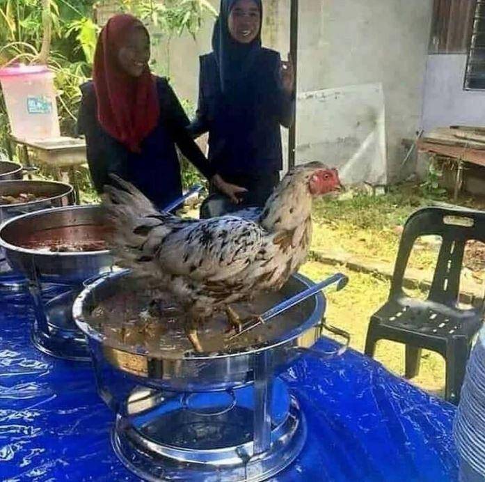 momen apes makan (Instagram.com/ngakakkocak)