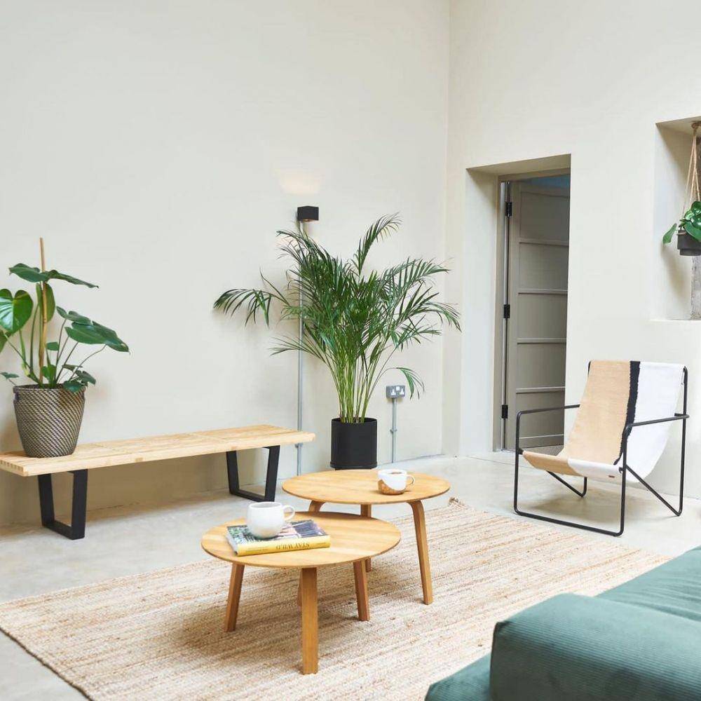 Tanaman untuk Dekorasi Rumah Modern Scandinavian (instagram.com/scandi_homes)