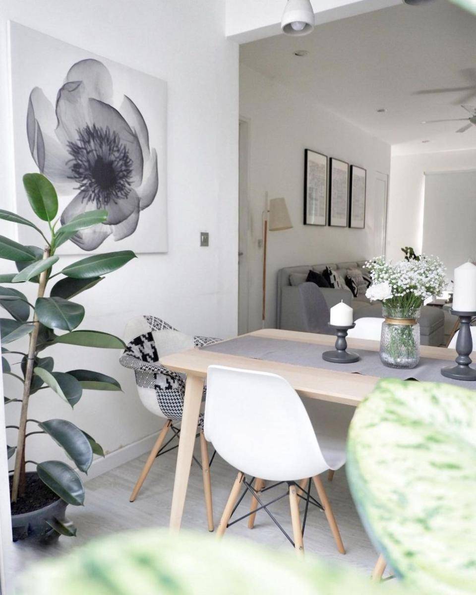 Tanaman untuk Dekorasi Rumah Modern Scandinavian (instagram.com/scandiandyhome)
