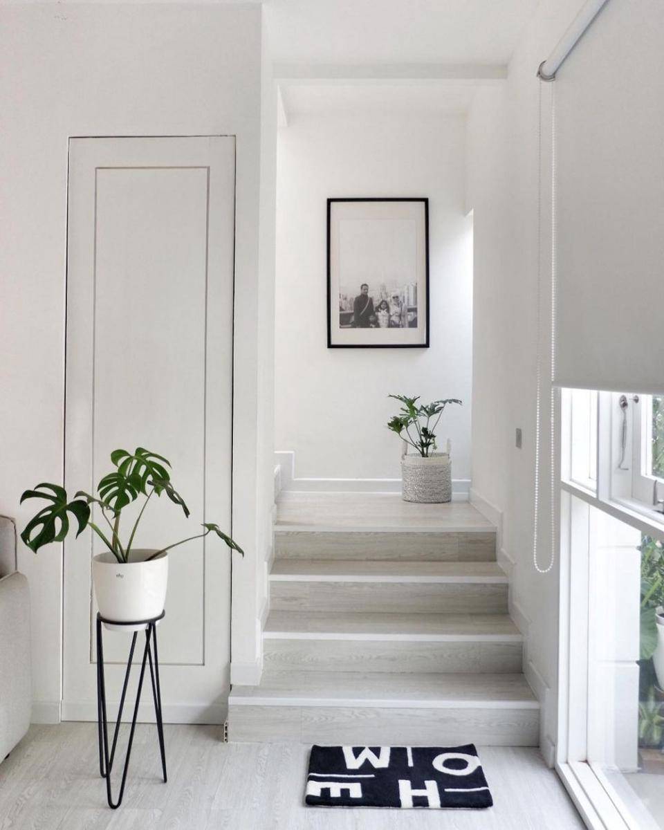 Tanaman untuk Dekorasi Rumah Modern Scandinavian (instagram.com/scandiandyhome)