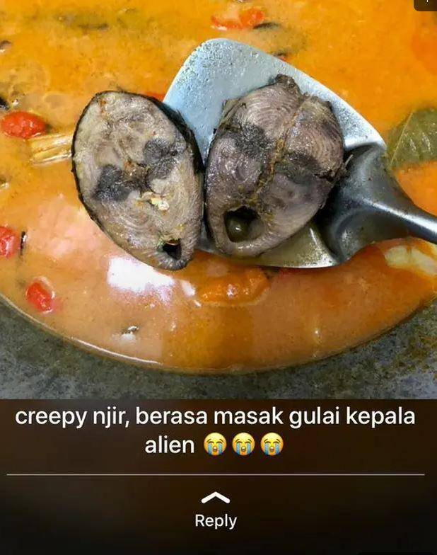 momen apes makan (Twitter.com/txtdrstorywa)
