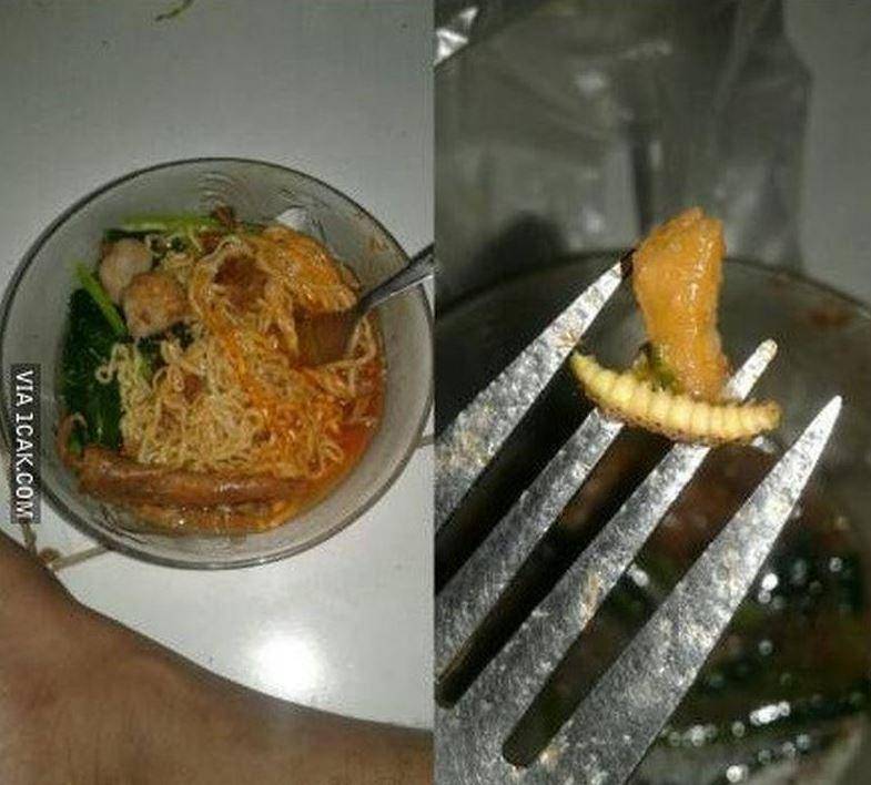 momen apes makan (1cak.com)