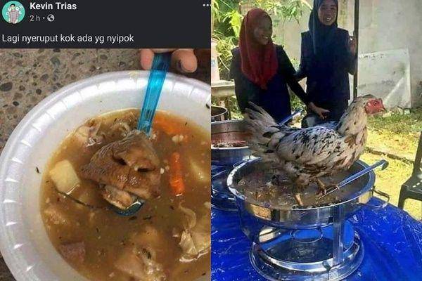 momen apes makan (Instagram.com/wkwkland_real)