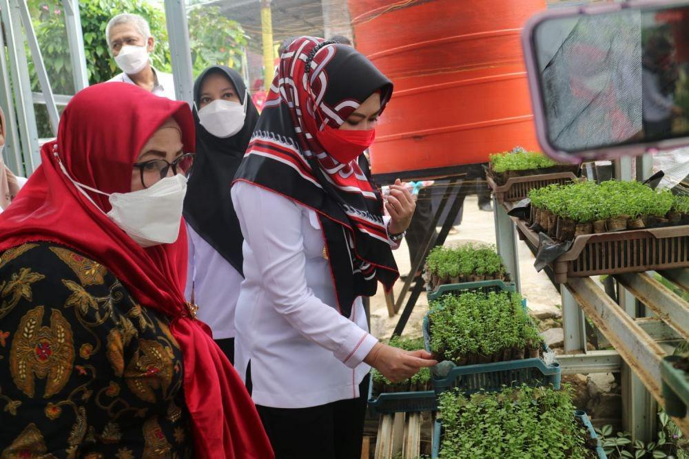 Apa Itu Bude Sar'i? Digagas Bupati Tanggamus Dewi Handajani