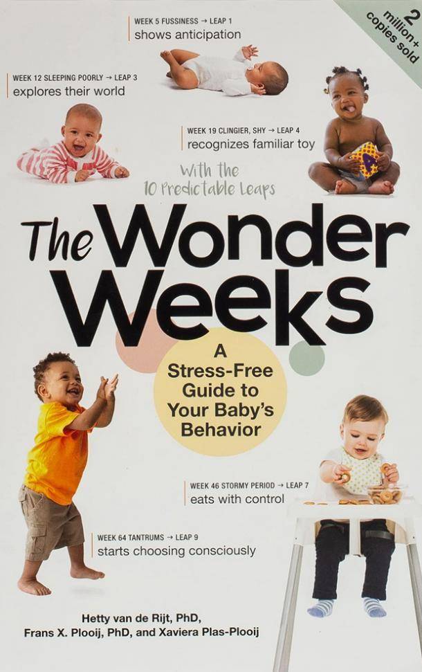 Buku The Wonder Weeks oleh Hetty van de Ritj (dok. thewonderweeks.com)