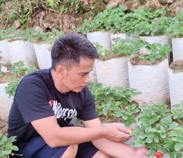 Ayah Lesty (instagram.com/ayah_kejora)