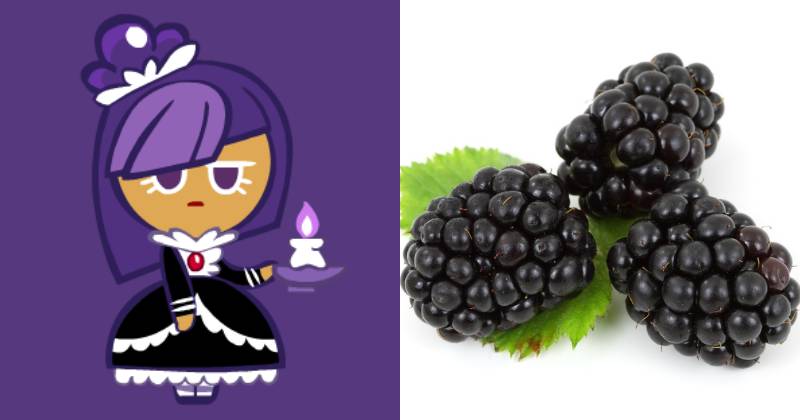 Blackberry Cookie (cookierun.fandom.com | pixabay.com/PublicDomainPictures)