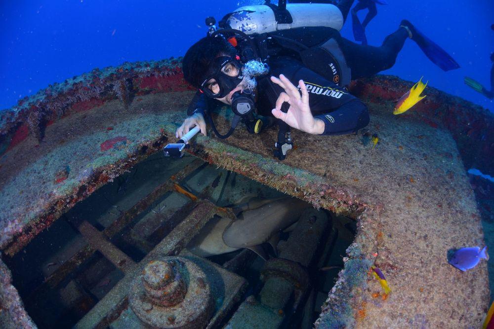 scuba diving (pixabay.com/lucatelles)