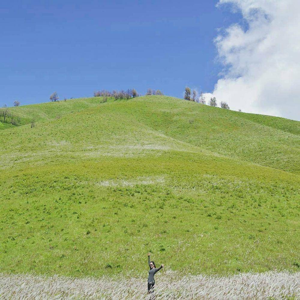 Bukit Teletubbies, Jawa Timur (instagram.com/jalan2terus)