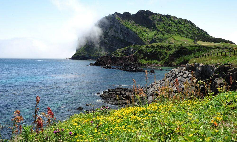 Pulau Jeju (mediaindia.eu)