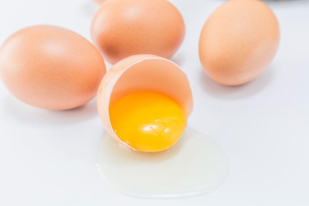 ilustrasi kuning telur (freepik.com/4045)