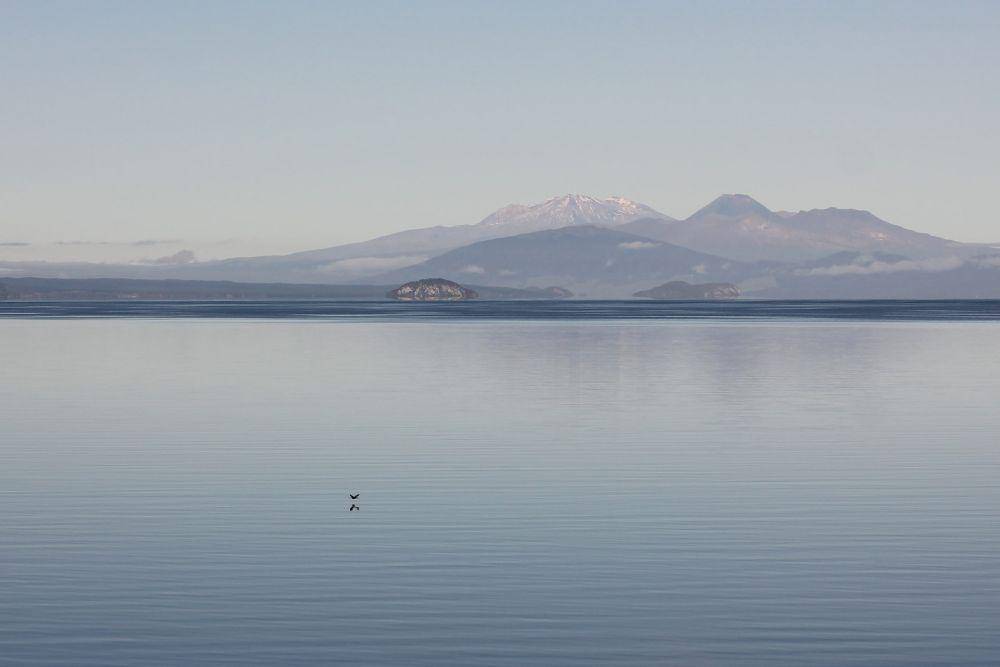 Danau Taupo (unsplash.com/Zon C)