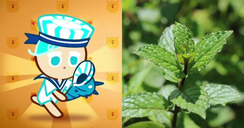 ilustrasi karakter Peppermint Cookie (youtube.com/Cookie Run | unsplash.com/Nelima Lubisia)