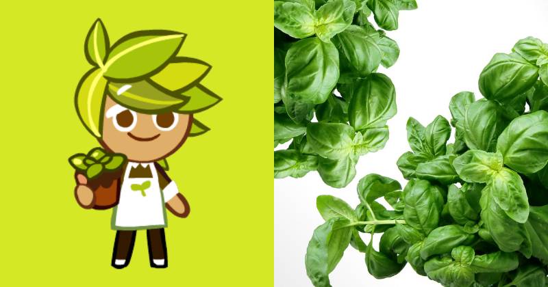 ilustrasi karakter Herb Cookie (cookierun.fandom.com | pixabay.com/Security)
