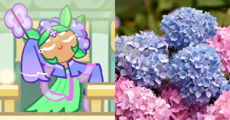 ilustrasi karakter Hydrangea Cookie (youtube.com/Cookie Run | pixabay.com/HelgaKa)