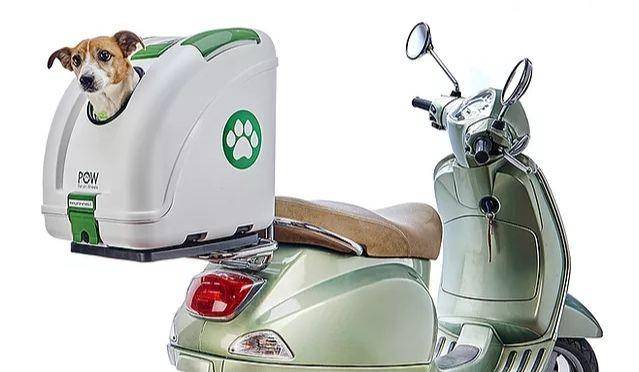 Pet on wheels (petonwheels.eu)