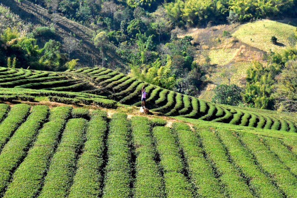 Mae Sariang (instagram.com/chef_miguel_traveler)