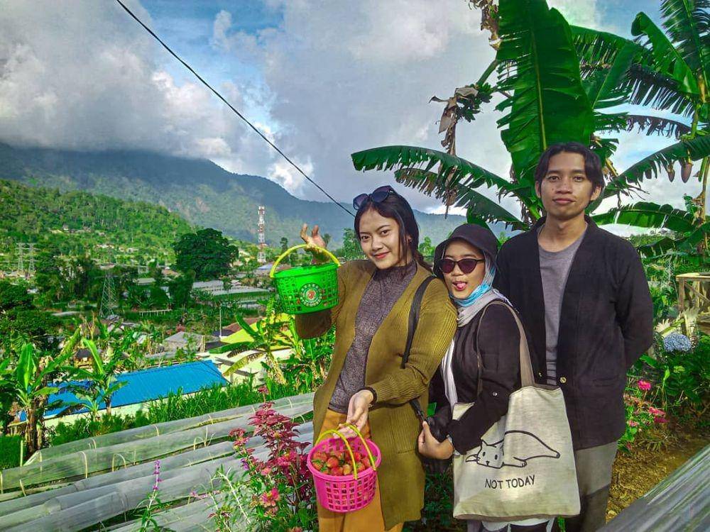 Wisata petik stroberi Bedugul (instagram.com/ghana_strawberry)