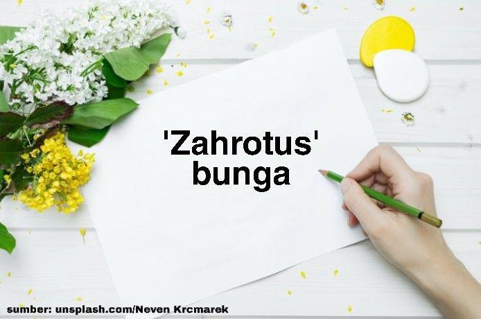 nama anak perempuan dari nama editor IDN Times (Dok. Pribadi/T y a s)