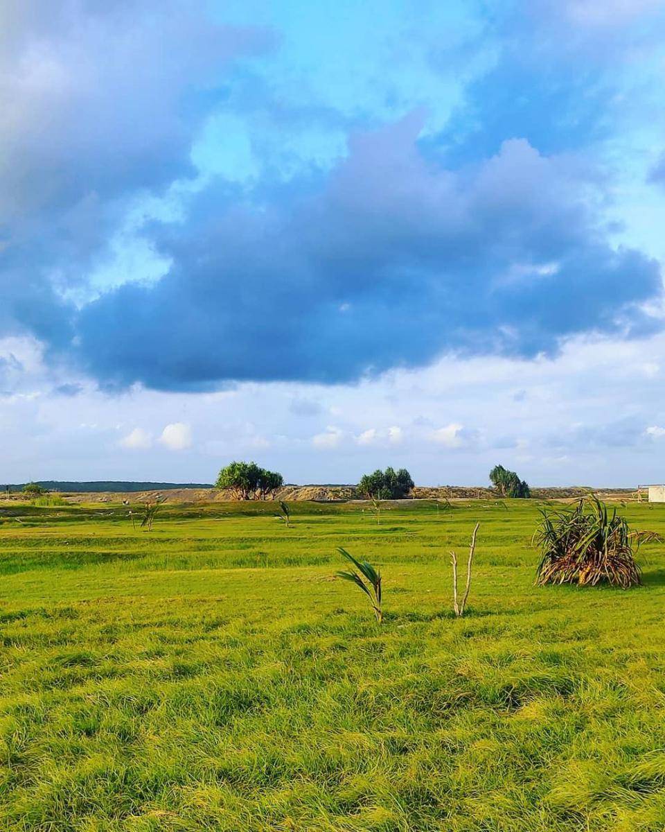Potret pemandangan Savana Pandanwangi (instagram.com/nova_dyokta)
