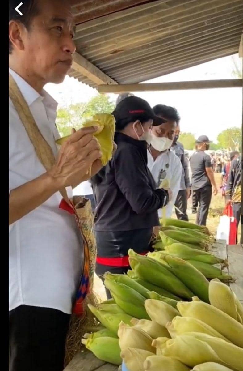 Presiden Jokowi membeli jagung dari seorang pedagang di Sorong, Papua Barat (YouTube Sekretariat Presiden)