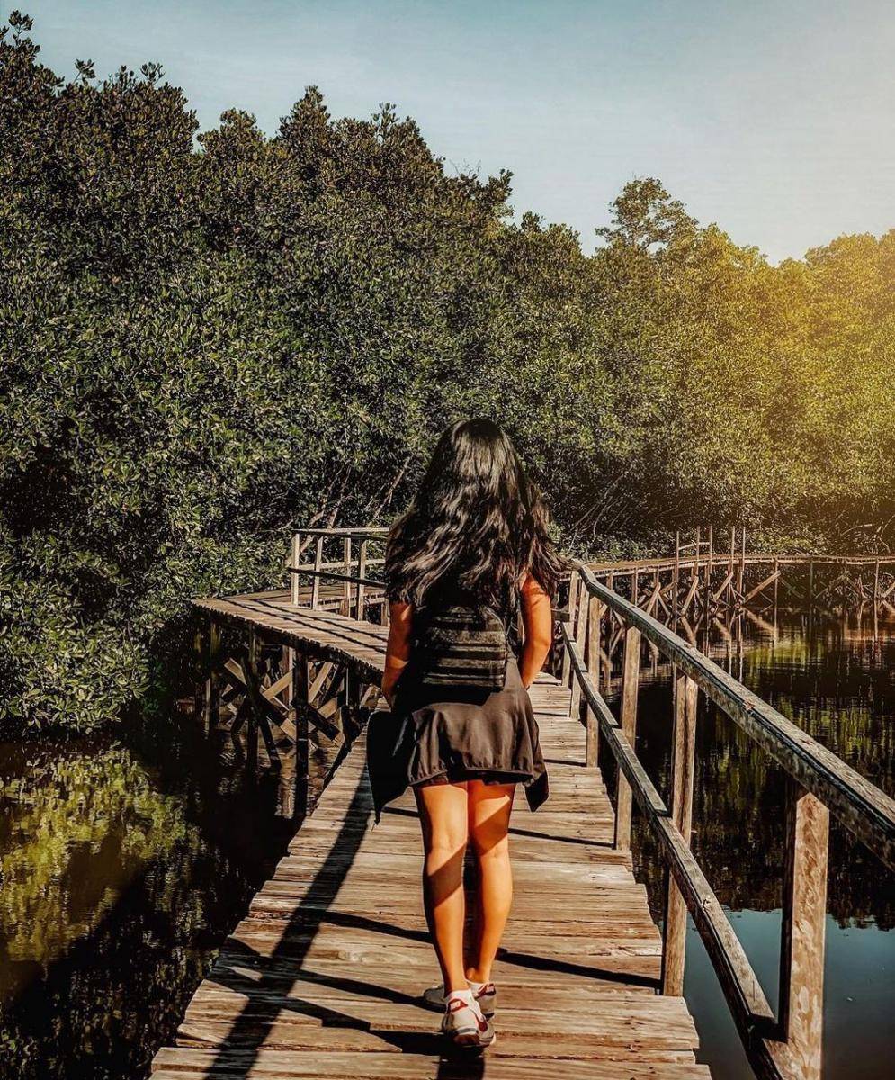 Hutan Mangrove Bali (instagram.com/veraniaflorencia)