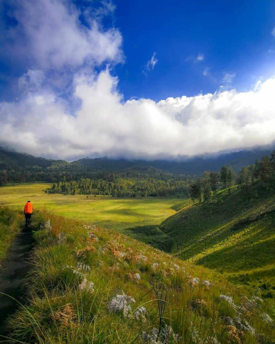 Potret panorama Oro-oro Ombo di Lumajang (instagram.com/yuanjinhuang)