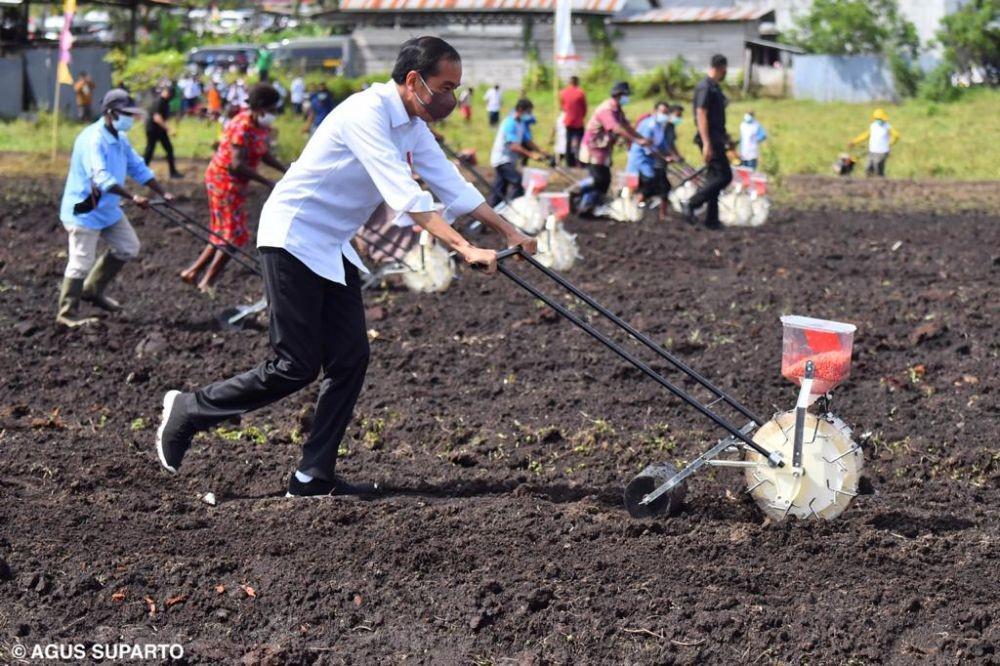 2 Tahun Jokowi-Ma'ruf, Ekonomi Domestik Diklaim Membaik