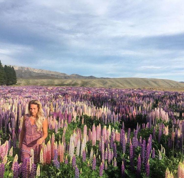 Danau Tekapo di Selandia Baru (instagram.com/destinationtekapo)