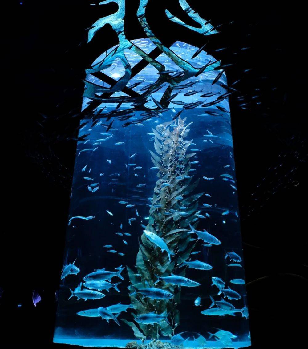 Jakarta Aquarium 