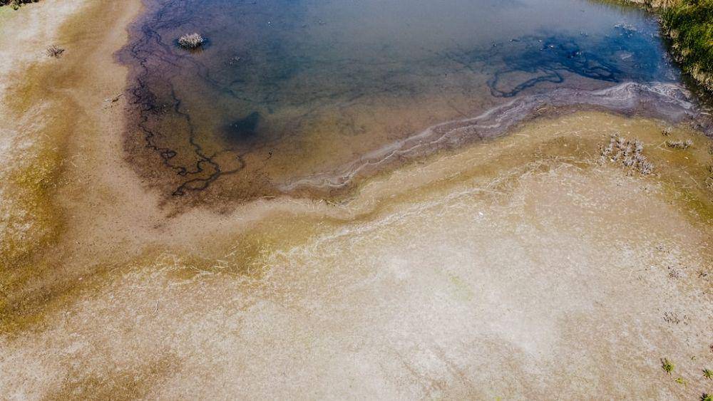ilustrasi tumpahan minyak pada air laut (unsplash.com/Josue Michel)