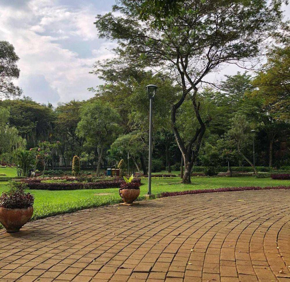 Taman Tabebuya, Jakarta Selatan (Instagram.com/temantaman.jkt)