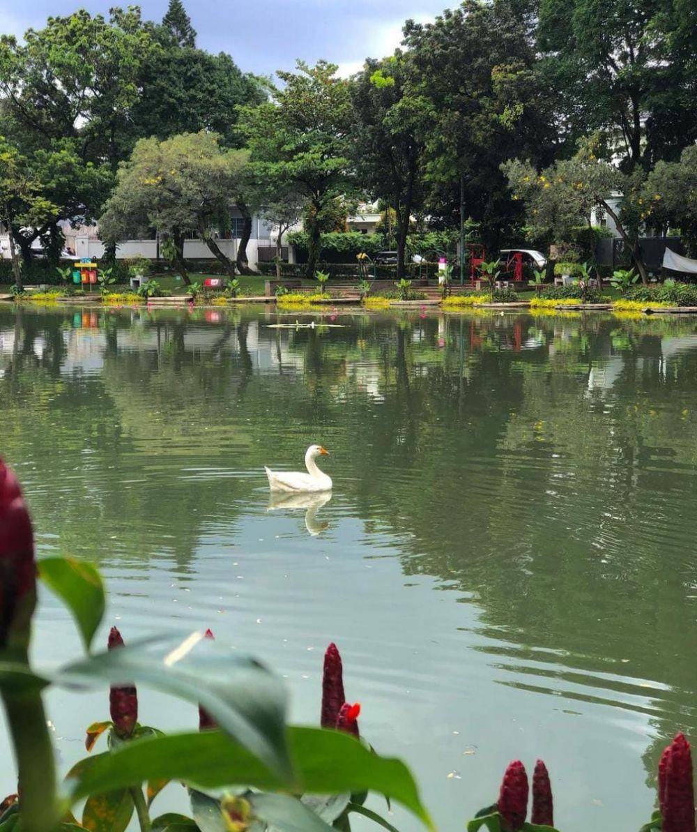 Taman Situ Lembang, Jakarta Pusat (Instagram.com/temantaman.jkt)
