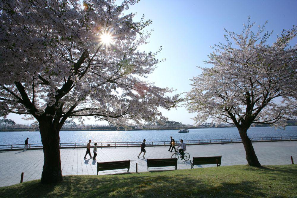 Potret suasana di Ilsan Lake Park (goyang.go.kr)