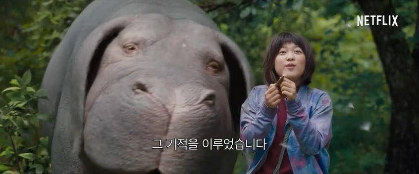 Ahn Seo Hyun di film Okja (Dok. Netflix)