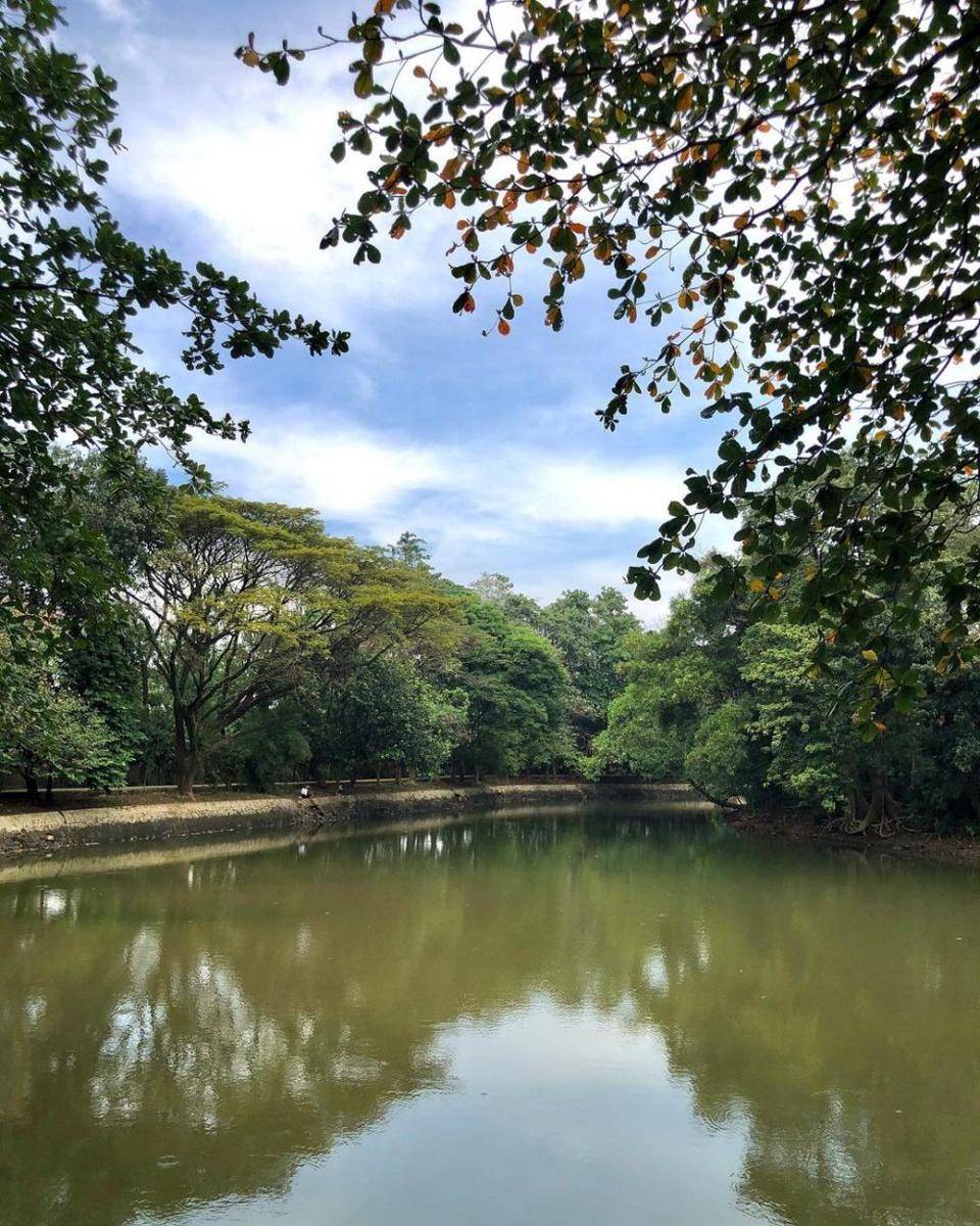 Taman Hutan Kota Srengseng, Jakarta Barat (instagram.com/temantaman.jkt)
