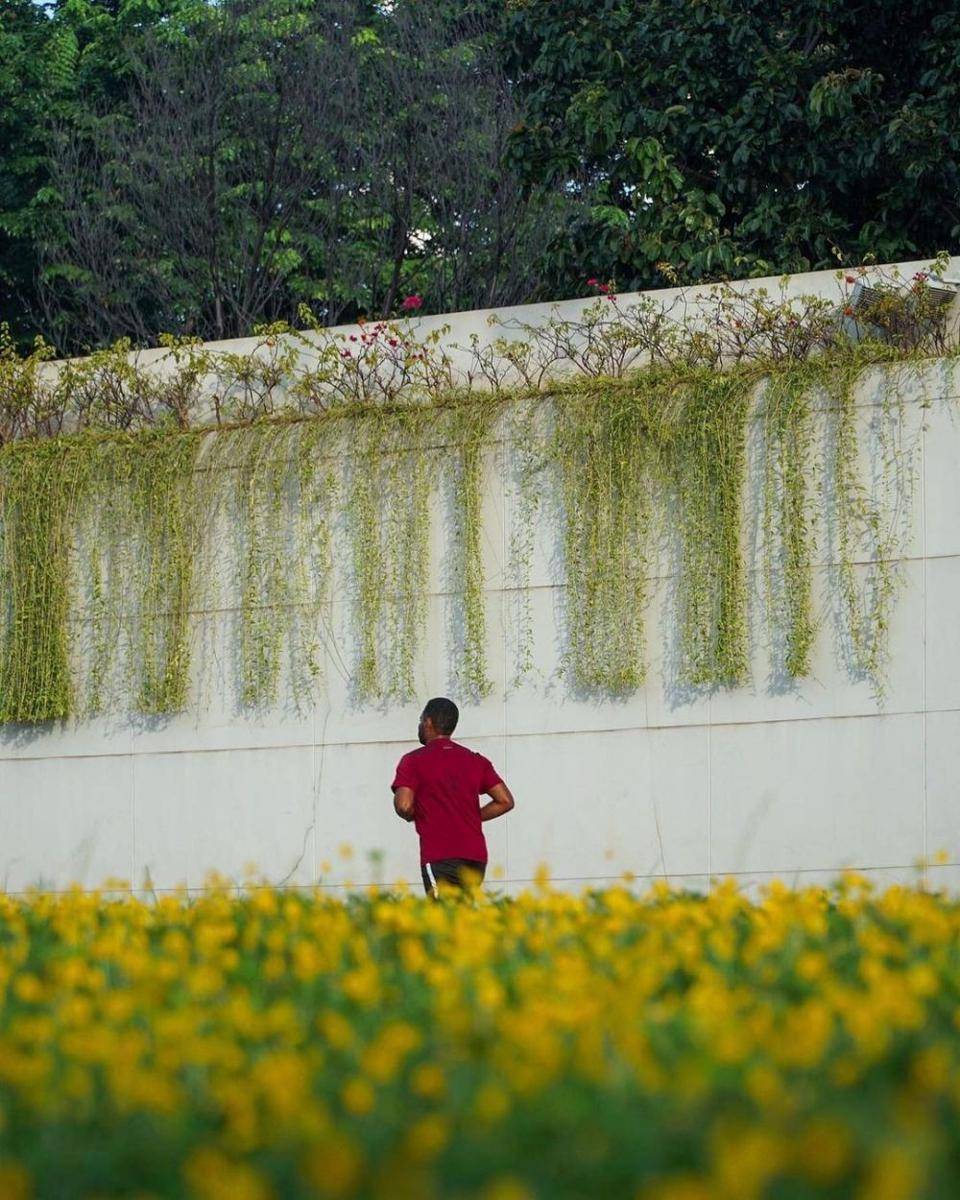 Taman Lapangan Banteng, Jakarta Pusat (instagram.com/diasmaulana)