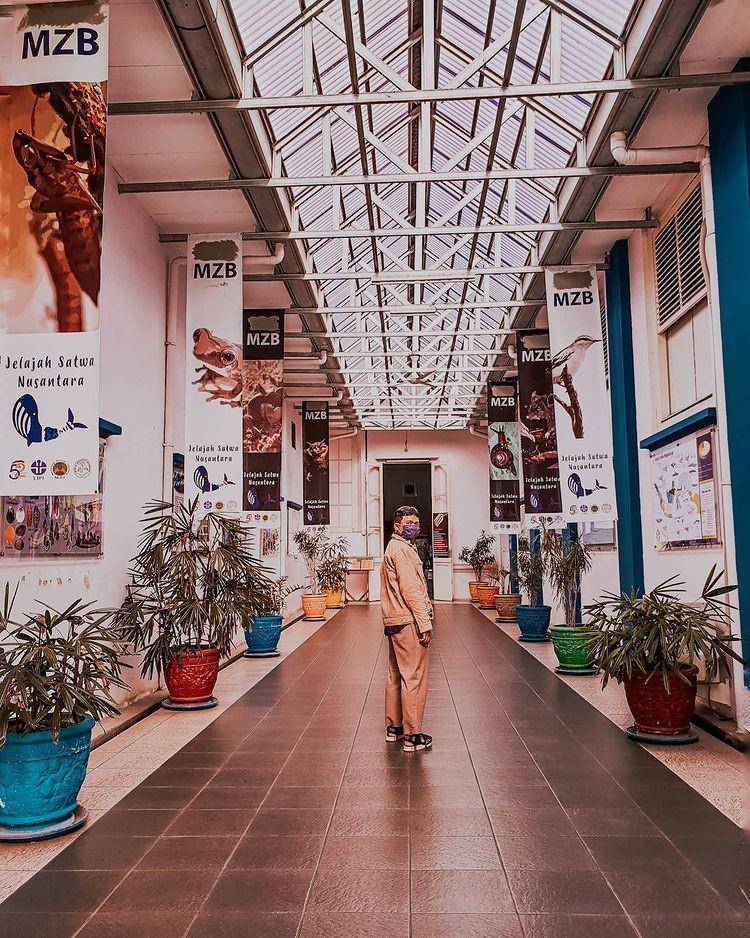 Museum Zoologi (Instagram.com/rmyysaj)