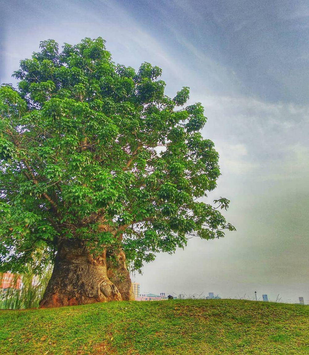 Taman Ria Rio, Jakarta Timur (instagram.com/bpcola)
