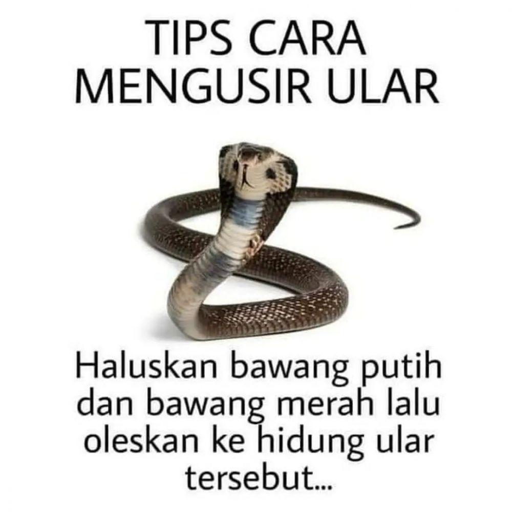 tips nyeleneh (instagram.com/lawaknakal)