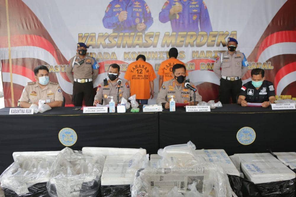 Kirim 38.400 Benur, 2 Kurir Dibekuk di Probolinggo