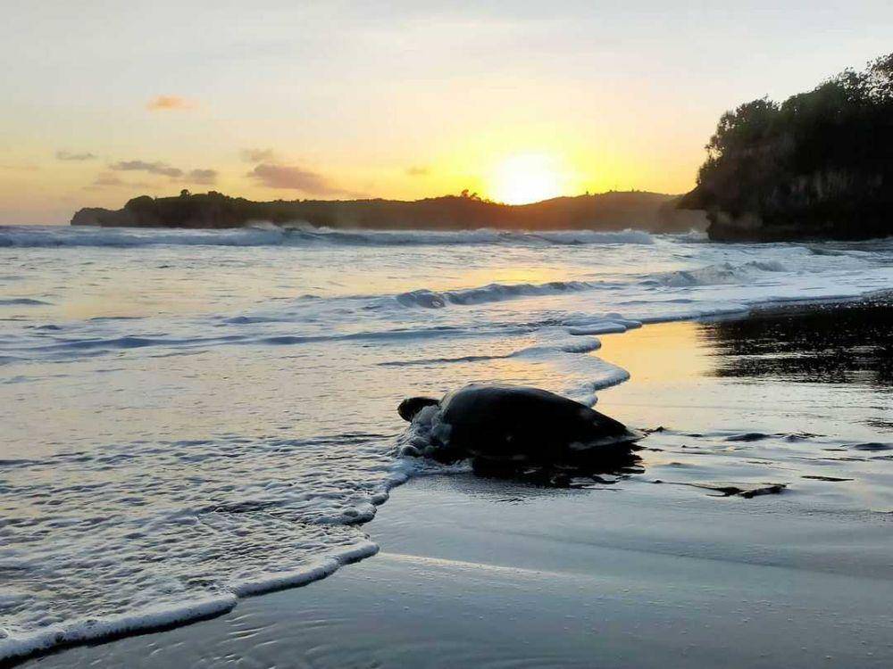 potret Pantai Serang (Instagram.com/handokopawiro)