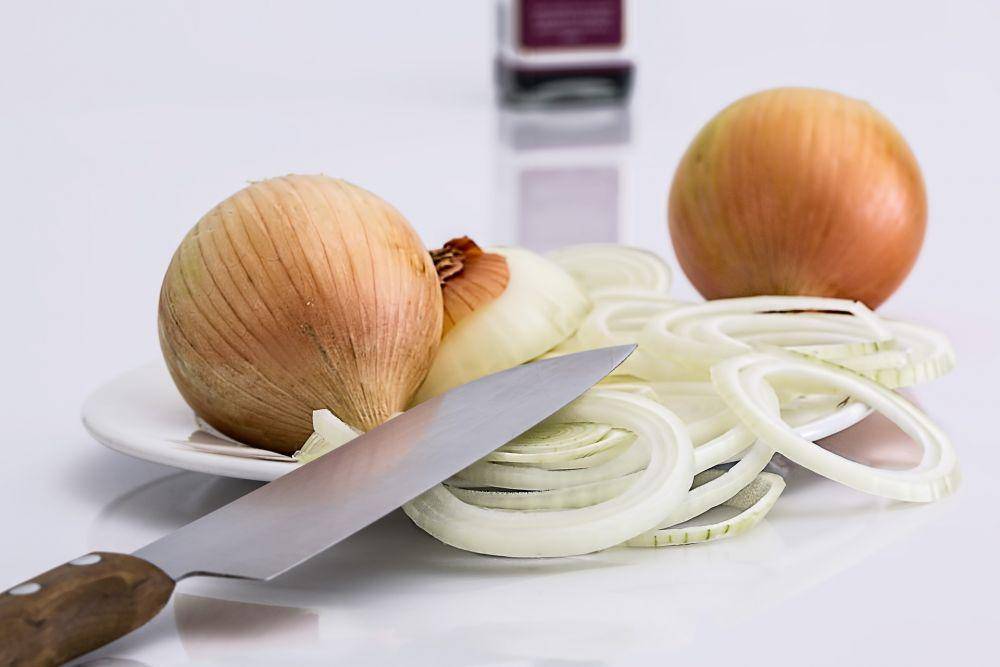 ilustrasi bawang bombai (pixabay.com/stevepb)