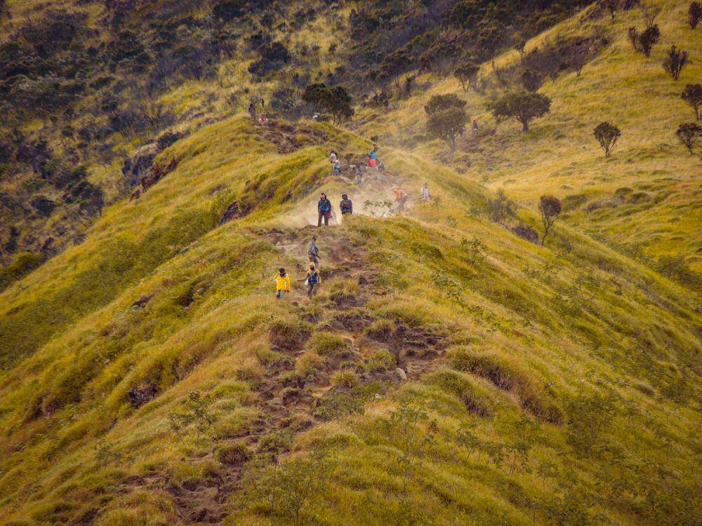 pendaki di Gunung Sumbing (unsplash.com/Wilson Hidayat)