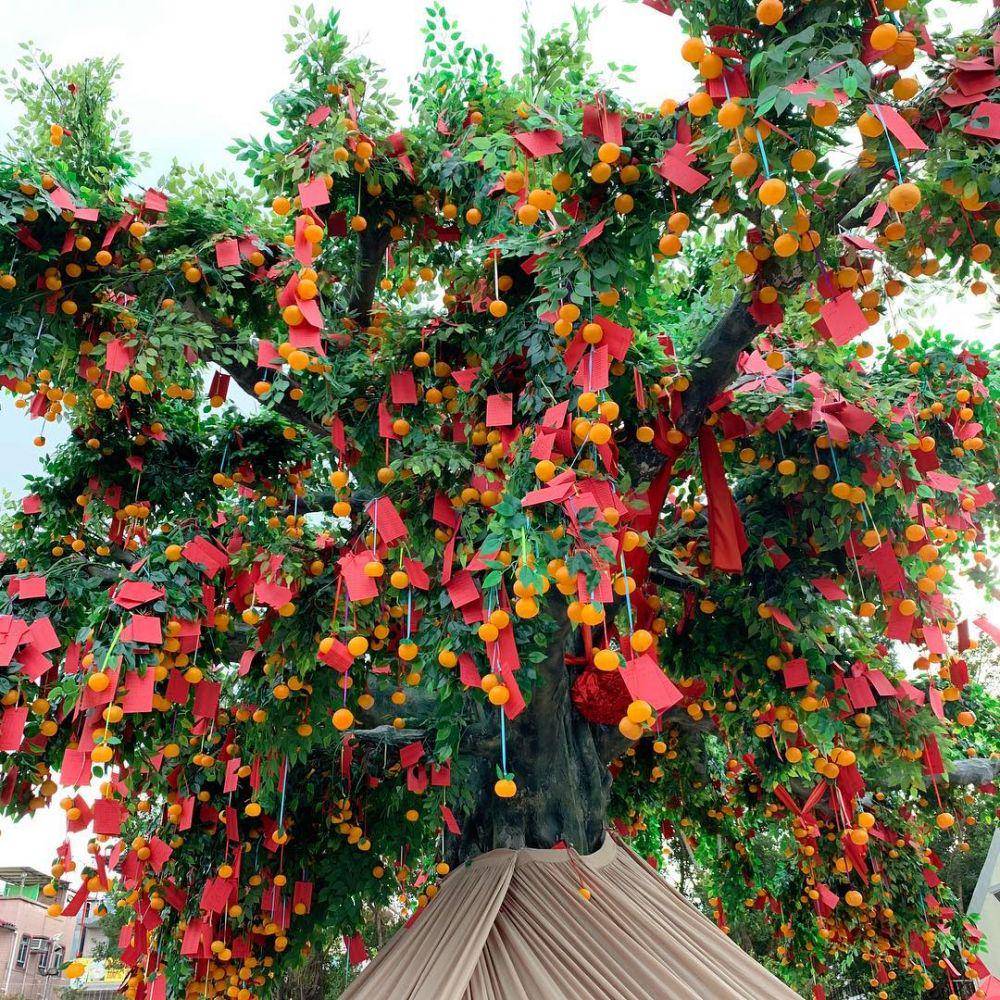 Lam Tsuen Wishing Tree (instagram.com/riitatawu)